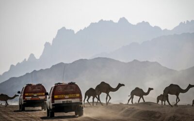 Cambio de último momento en la ruta del Dakar 2021